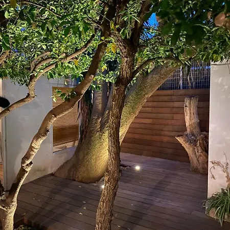 Le Jardin Cache Apartment Sanary-sur-Mer Exterior photo