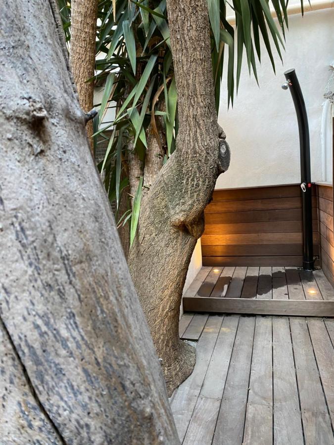 Le Jardin Cache Apartment Sanary-sur-Mer